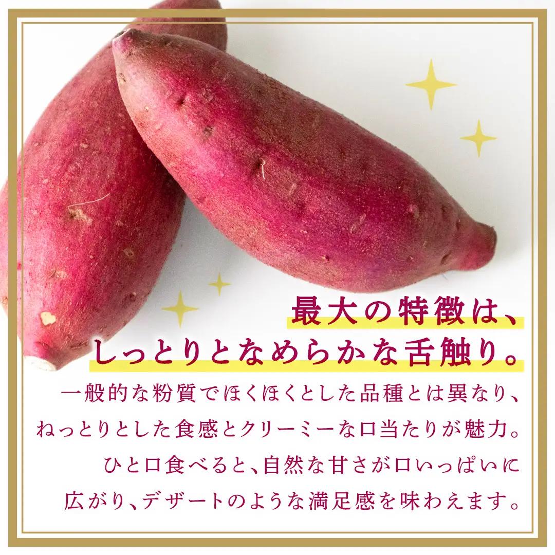 紅はるか 約 2.5kg （6回 定期便 ）（茨城県共通返礼品 [さつまいも]：行方市産）