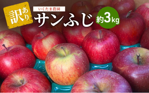 【2026年11月～発送】訳あり サンふじ　約3kg リンゴ りんご フルーツ 果物 お取り寄せ 長野県 山ノ内町