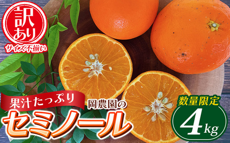 セミノール わけあり 訳あり 家庭用 みかん 数量限定 ミカン 訳あり品 サイズ混合 ご家庭用 / 岡農園のセミノール 約4kg【2027年3月下旬から4月下旬に順次発送予定】【mok009B】