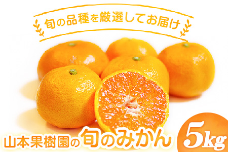 山本果樹園の旬のみかん 5kg 山本果樹園《９月中旬-2月末頃出荷予定》蜜柑 柑橘 ひのあかり 日南 豊福　肥後早生 青島 旬の品種をお届け！フルーツ 果物---sh_ymmtmkn_bc92_r7_9000_5kg---