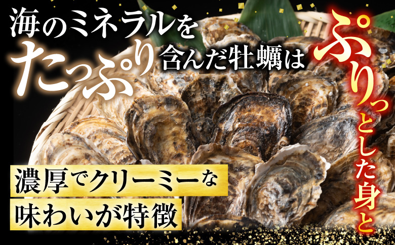 【北海道根室産】貝付き牡蠣40個[11月上旬以降発送] C-54008