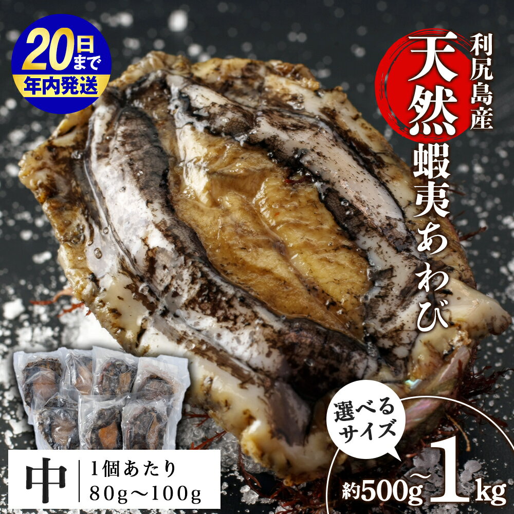 【ふるさと納税】【12月20日決済確定分まで年内発送】☆選べる発送時期☆あわび 北海道 利尻島産 天然蝦夷あわび ＜中＞（80g〜100gサイズ） 選べる500g〜1kg 冷凍あわび ＜利尻漁業協同組合＞北海道ふるさと納税 利尻富士町 ふるさと納税 鮑 天然 冷凍 産地直送 刺身