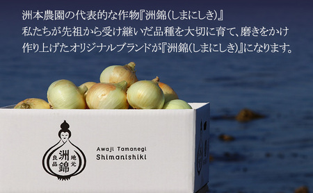 玉ねぎ 淡路島産 洲錦 10kg 洲本農園 玉ねぎ