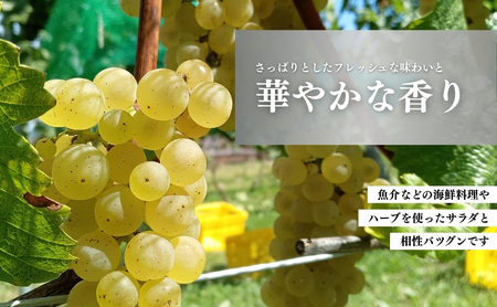 白ワイン＜メテオレ＞ 750ml × 1本 ｜ 白ワイン