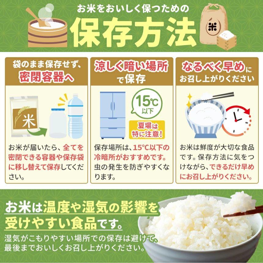 【定期便6回】栃木県産 とちぎの星 玄米 5kg 2026年 先行予約 | 栃木県 矢板市