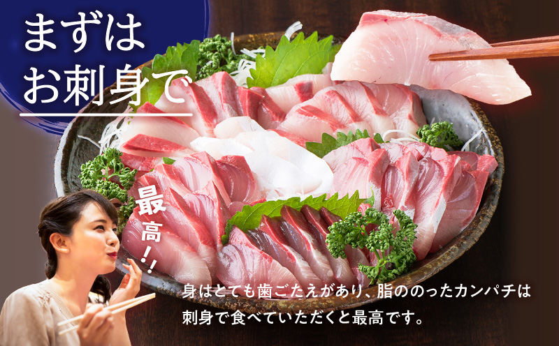 鹿児島県産カンパチ 約3.5kg 一本丸ごと（セミドレス）活〆　K294-003_01