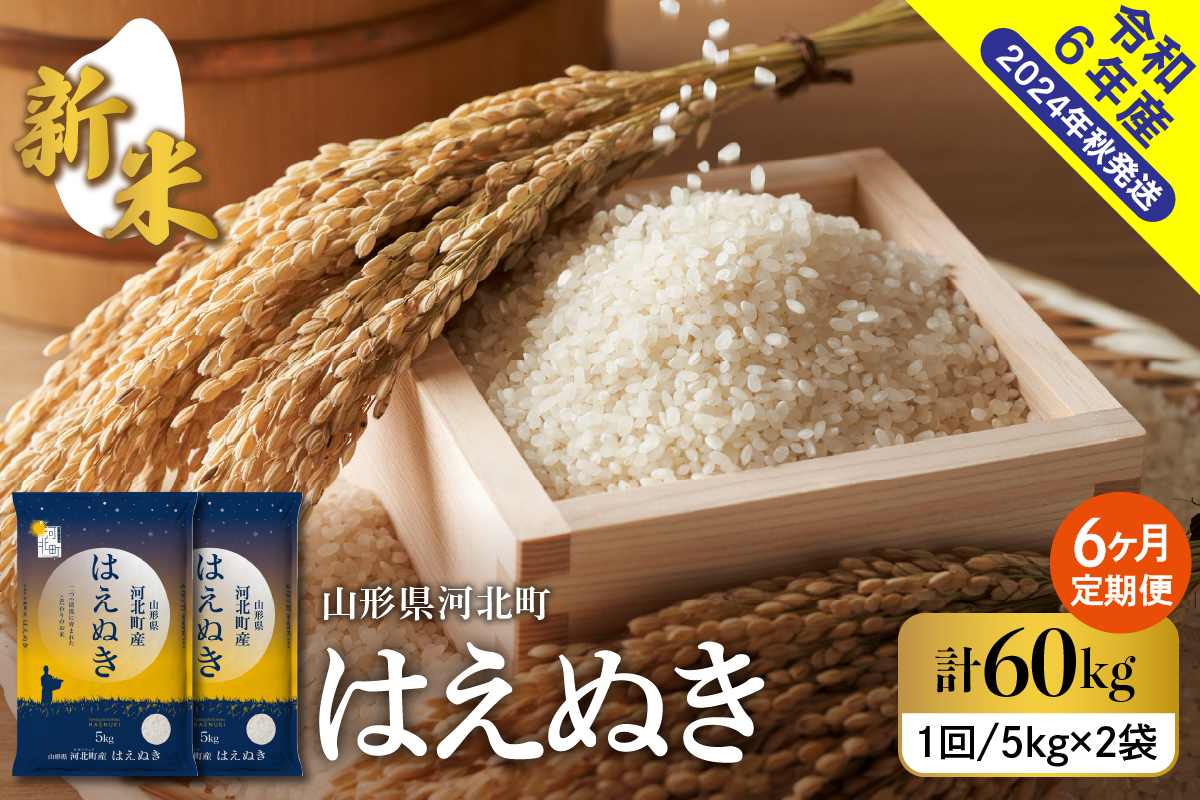 【令和6年産米】※2024年11月下旬スタート※ はえぬき60kg（10kg×6ヶ月）定期便 山形県産 【米COMEかほく協同組合】