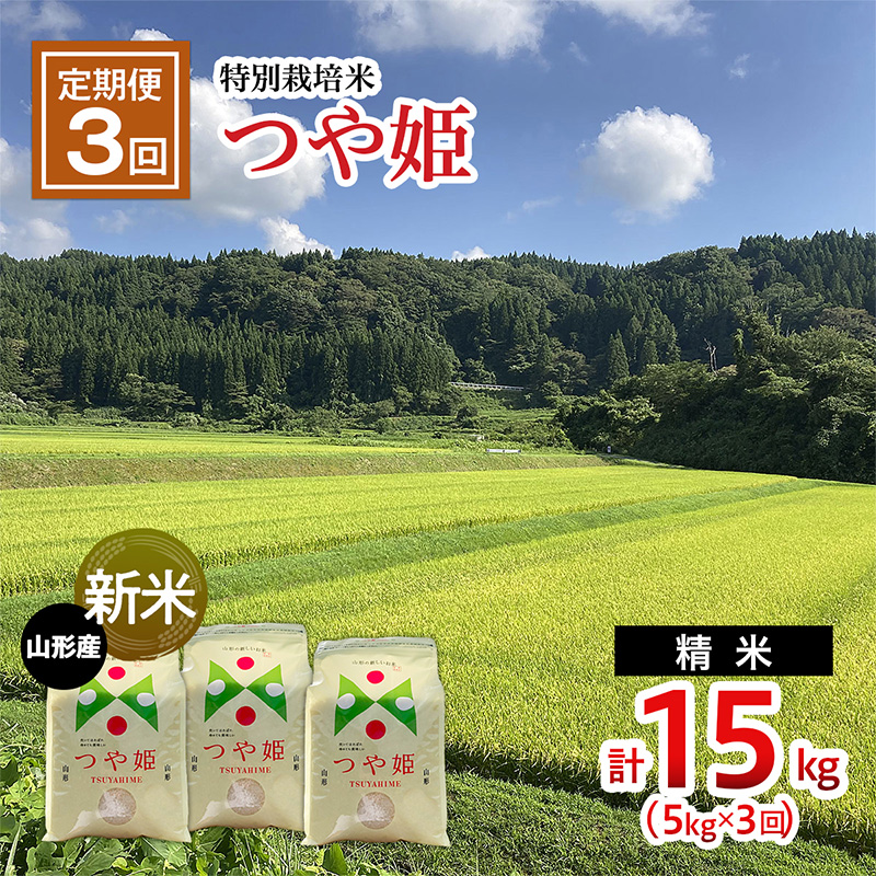 【令和7年産新米】 【定期便3回】新米☆特別栽培米 つや姫(5kg×3ヶ月)計15kg FU22-086