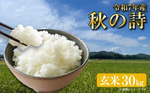 新米 秋の詩 令和7年産 30kg 1袋 玄米 米 あきのうた アキノウタ R7 お米 ご飯 ごはん  ふるさと納税 滋賀県 竜王町 ひさだ農園