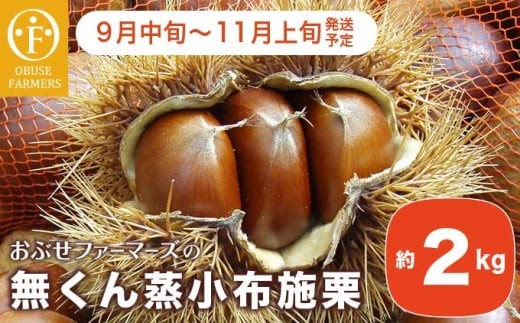 無くん蒸小布施栗 約2kg ［おぶせファーマーズ］ 果物 フルーツ 生栗 くり 長野県産 信州産 令和7年産 【2025年9月中旬〜11月上旬発送】 ［FB-23］