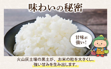 【令和7年産 新米】【福井県大野市】さかだに棚田清流米！(コシヒカリ)10kg「今話題の、あのバンドのロケ地！」