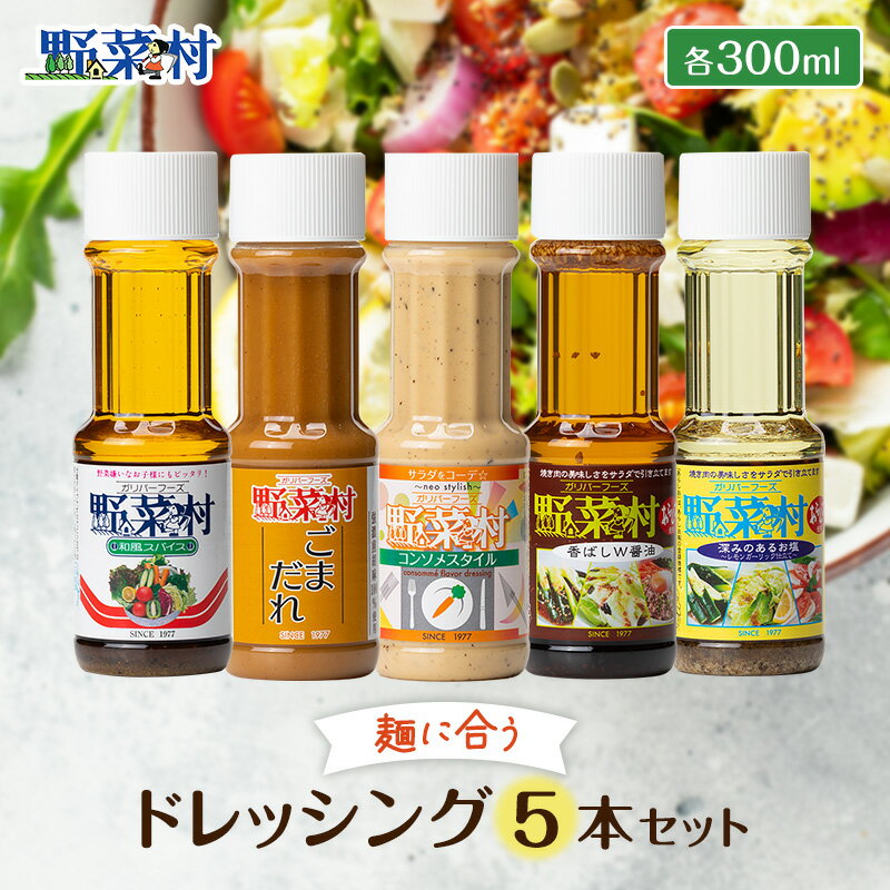 【ふるさと納税】ドレッシング 麺に合う 1977年創業 セット 詰め合わせ 調味料 ゴマ 和風 塩焼きそば 和風きのこパスタ ごまだれ豆乳うどん レシピ付 野菜村 静岡県浜松市