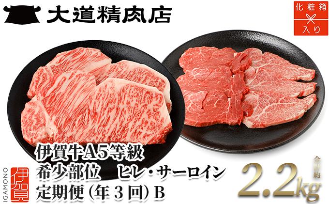 【年3回】伊賀牛 A5ヒレ・サーロイン 定期便B 総合計約2.2kg BE030