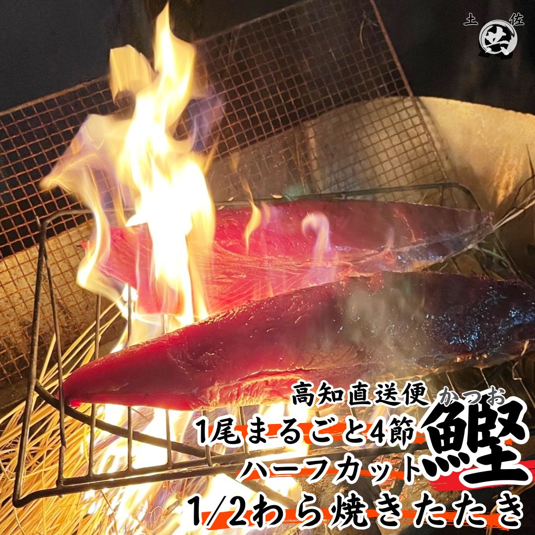 【ふるさと納税】M210-2 期間限定 高知甲浦港直送！わら焼きかつおのたたきハーフカット 2023高知を贈ろうギフトコンテスト入選＜840〜1000g＞ 国産 東洋町産 鰹 かつお カツオ 藁焼き 四国 お取り寄せ 家庭用 自宅用 送料無料