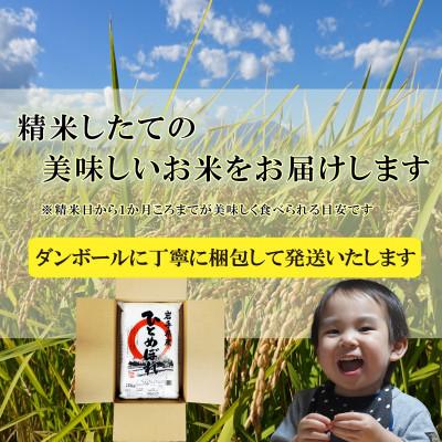 ふるさと納税 盛岡市 【毎月定期便】無洗米 ひとめぼれ 10kg全12回 |  | 03
