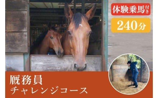 
            厩務員チャレンジコース（240分）【乗馬 馬 体験 水戸市 茨城県】（EY-2）
          