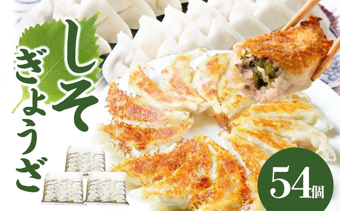 
            餃子専門店の餃子 しそ餃子 54個入り 餃子 ぎょうざ ギョーザ 大葉 紫蘇 シソ おかず 大容量 中華 焼き餃子 惣菜 A02036
          