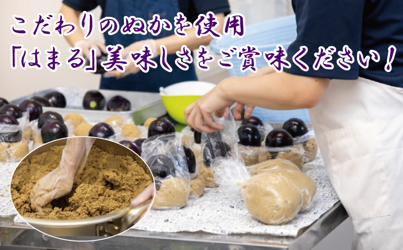 ねね屋の水なすぬか漬け 3個 099H2859_イメージ3