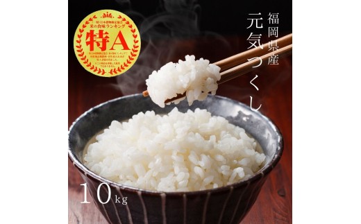 【先行予約】【令和7年産】福岡県産ブランド米「元気つくし」白米10kg(5kg×2袋) 吉富町/株式会社ゼロプラス [BGAA092] 米 精米 お米 おこめ ごはん ご飯 常温 福岡県産 ブランド米 常温 おにぎり おむすび お弁当 ライス 10キロ