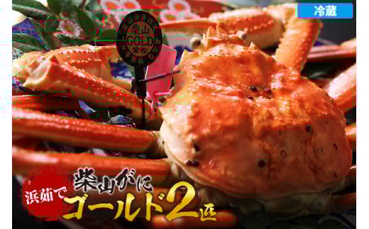 【先行予約】【浜茹で柴山ゴールド 柴山がに・ゴールドタグ付きが一度に2匹も揃う奇跡 冷蔵】 令和7年11月中旬以降、水揚げ次第順次発送予定 高級 貴重 レア 贅沢 かに 蟹 カニ ふるさと納税 おすすめ 返礼品 兵庫県 香美町 香住 柴山 1000000円 カネニ 06-24