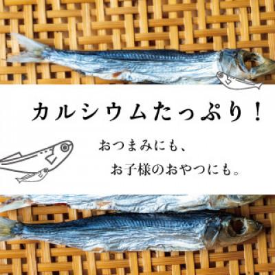 ふるさと納税 須崎市 うるめ丸干し　500g |  | 01