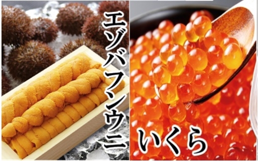 E-40029 エゾバフンウニ140g×1折、いくら醤油漬(鱒卵)150g×1P[11月下旬以降発送]