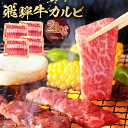 【ふるさと納税】飛騨牛 カルビ 2kg （500g×4） ｜ 岐阜県 可児市 牛肉 冷凍 国産牛 グルメ お中元 御中元 お歳暮 御歳暮 和牛 焼肉 肉 牛肉 カルビ 焼肉用 BBQ バーベキュー 小分け 肉のひぐち