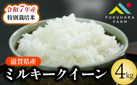 【令和7年産】 ミルキークイーン 4kg(2kg×2) 白米 特別栽培米 精米 滋賀県 彦根市 ミルキークイーン