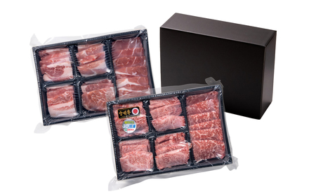 【宮崎牛＆宮崎県産豚肉】焼肉10種盛り　食べ比べセット計600g　国産牛肉　国産豚肉　ミヤチク＜1.1-7＞