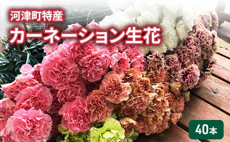 カーネーション 河津町 特産 生花 40本 発送 カーネーション