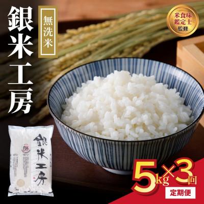 ふるさと納税 田村市 【毎月定期便】無洗米 銀米工房 5kg 精米全3回