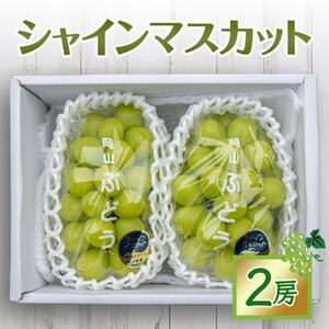 2130.シャインマスカット 2房(約1.2kg～)【配送不可地域：離島】【1488983】