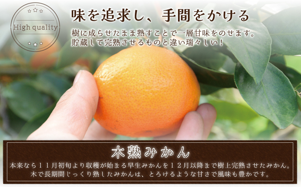 和歌山県産 早生温州みかん 秀品 Mサイズ 3kg [Sn2]