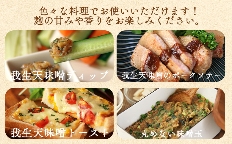 ＜我生天味噌 2個＞300g 選べる 内容量 個数 みそ ミソ 調味料 酵母 どぶろく味噌 ドブロク 米 料理 お味噌汁 パック 発酵食品 まろやか マイルド 風味 旨味 加工食品 和食 和 麹 こう