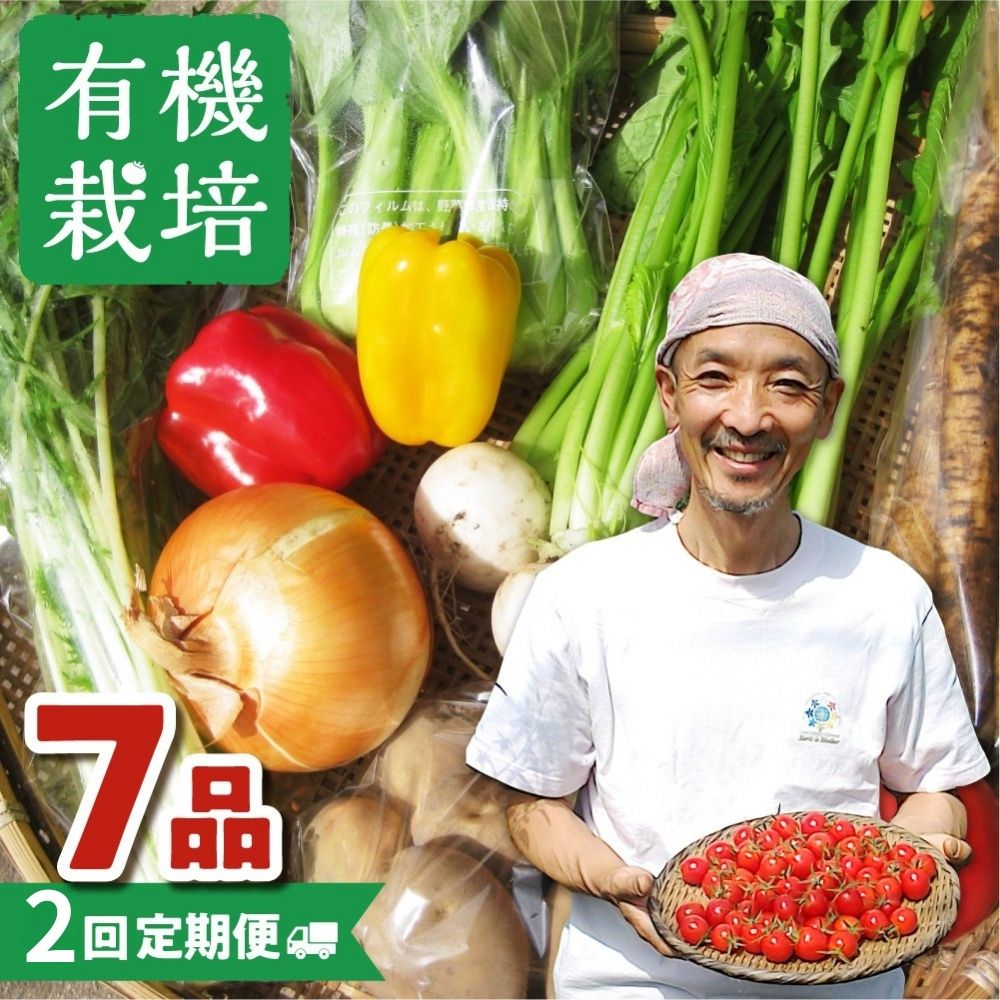 【ふるさと納税】《令和7年産 発送中》野菜の栄養価コンテストグランプリ農家が贈る 無農薬栽培 野菜セット 7品 2回お届け 定期便 お野菜のレシピ付き 野菜 米 味噌 黒豆米糀味噌 定期便 お楽しみ ありがとうファーム [Q215re] 20000円 2万円 《hida0307》