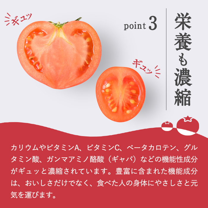 【先行予約】アメーラ＆ルビンズ10P ｜ トマト 野菜 国産