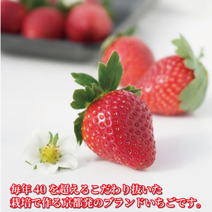 先行受付 京都のブランドいちご 京の雫 約900g 20～28粒×1箱 2025年12月～翌年5月発送 いちご いちご いちご いちご