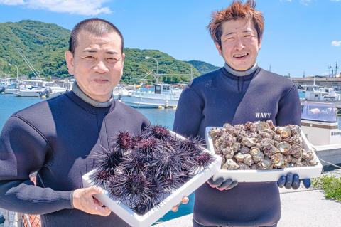 (1617) 【定期便】瓶詰めウニ 天然 ムラサキウニ 最高級 1回2本セット 毎月発送 全3回 60g×6本 合計360g 長門市