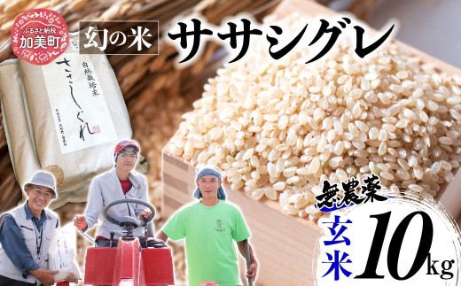 《 希少品種米 》  米 令和7年 宮城県産 ササシグレ ( 栽培期間中農薬・肥料不使用 ) 玄米 10kg ｜ 宮城県 加美町 お米 こめ コメ 無農薬 ささしぐれ ササニシキ の 父 ｜ nt-ss10-gn-r7