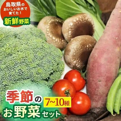 季節のお野菜セット（7~10種） 国産 鳥取県産品 定期便 詰め合わせ 新鮮