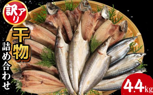 訳あり 干物 約4.4kg ひもの 詰め合わせ 干物 セット 徳島県 和田島 からお届け ホッケ サンマ アジ カマス 天日干し 干物 フィレ 冷凍 ひもの 正規品 干物 訳アリ ひもの 美味しい ひもの 人気 コスパ 送料無料 和田島産 徳島県 小松島市 【北海道・東北・沖縄・離島配送不可】