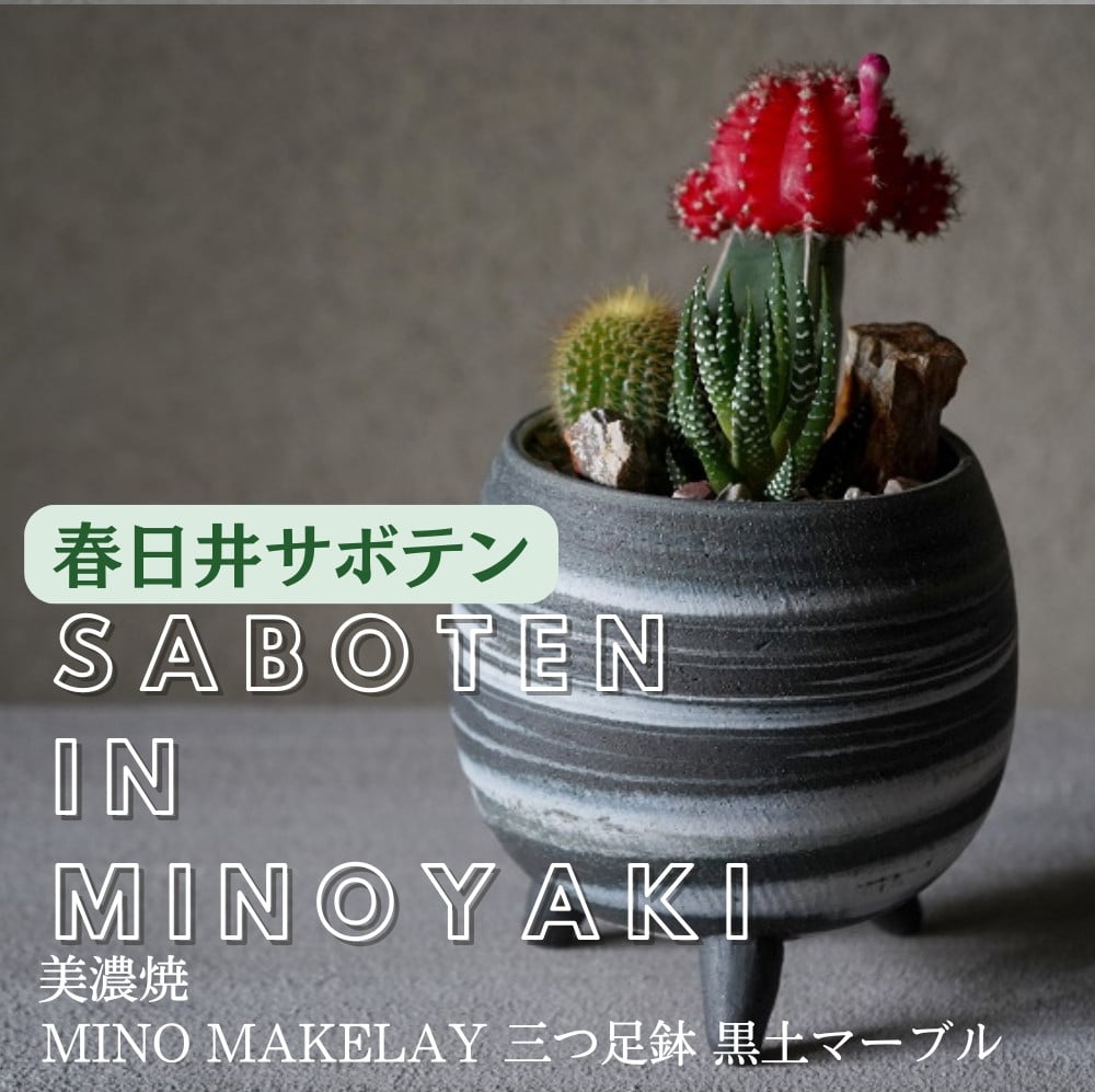 
多治見市×春日井市コラボ 【美濃焼】 MINO MAKELAY 三つ足鉢 黒土マーブル ×【日本有数のサボテン産地】春日井市の名店 後藤サボテン
