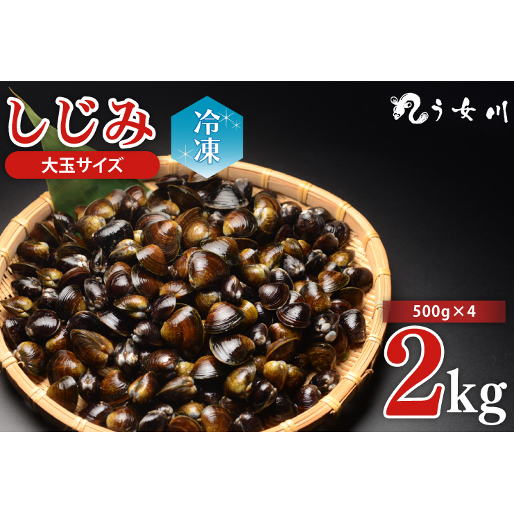 しじみ　冷凍　特選　大玉　2kg（500ｇ×4）砂抜き済み　涸沼川　う女川（IX-13）