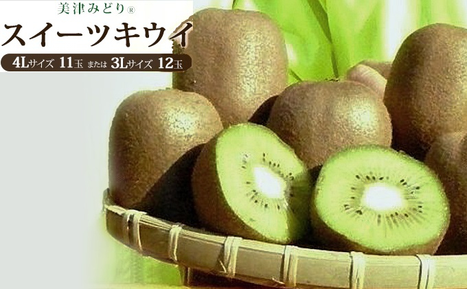 
            美津みどり　スイーツキウイ [ キウイフルーツ ジューシー 甘い 大きい 果物 フルーツ 産地直送 ]
          