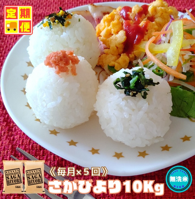 CID54_【５回定期便】無洗米さがびより１０ｋｇ（５ｋｇ×２袋） 【五つ星お米マイスター厳選！】