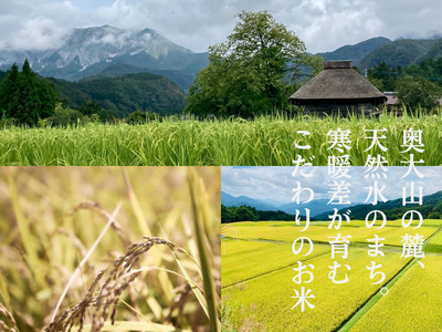 米 こしひかり5kg×2 計10キロ 鳥取県江府町産 こめ 精米 コシヒカリ 令和7年産 R7 送料無料 0909