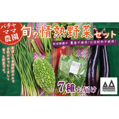 ふるさと納税 下妻市 農園自慢の情熱野菜セット(7品)