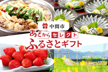 あとからセレクト【ふるさとギフト】寄附55万円相当