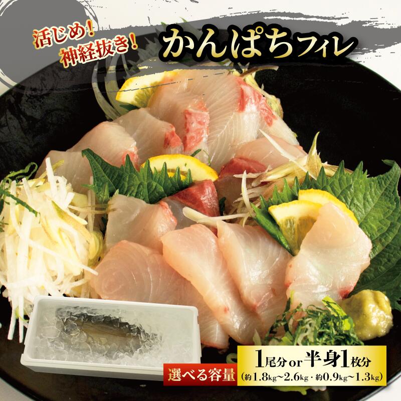【ふるさと納税】 かんぱち フィレ カンパチ 勘八 半身1枚（約0.9～1.3kg） または1尾分（約1.8～2.6kg） 魚 鮮魚 刺身 活じめ 神経抜き 愛媛県 松山市