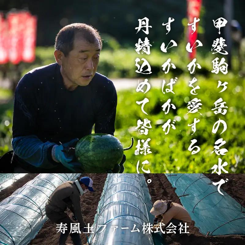【2026年先行予約】北杜市白州産すいか「すいかばか！」のこだわりの特選すいか 戦水甘シリーズ中から1玉 [h047]